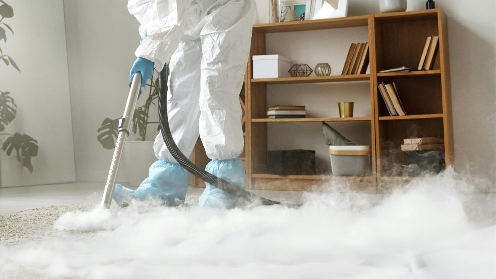 Wpływ czystości dywanów na zdrowie – alergie, jakość powietrza i samopoczucie